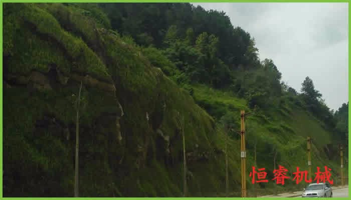 天津市狠抓城市边坡绿化