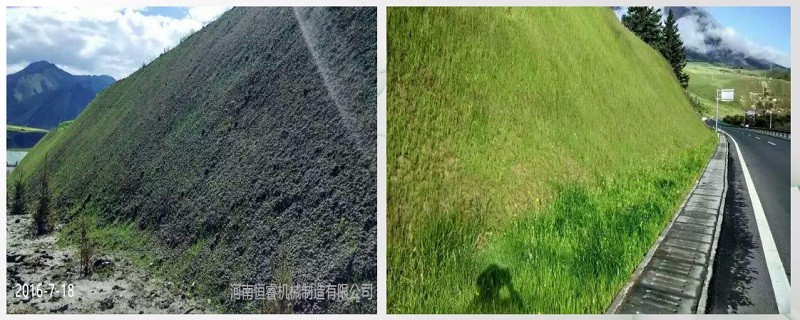 2015年青海祁连-俄堡公路边坡绿化