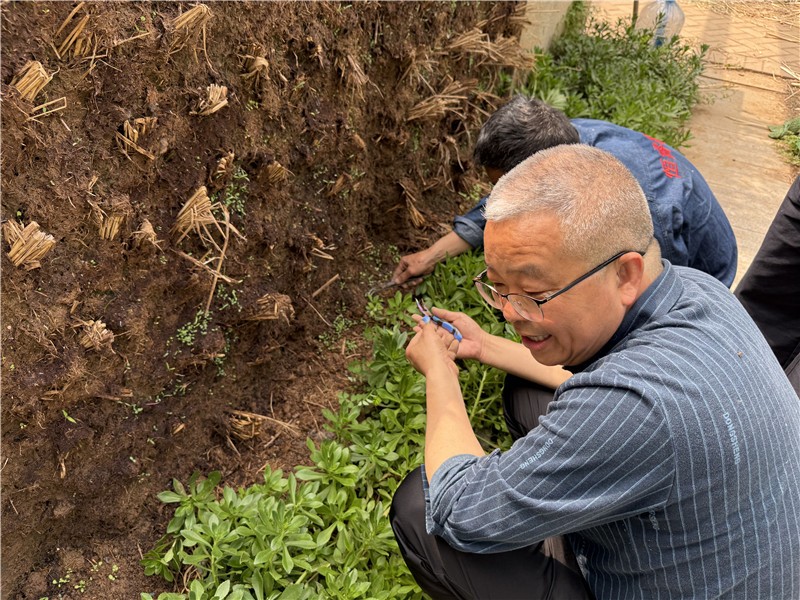 恒睿机械生态海绵土壤成型剂冲刷试验｜实测数据揭秘边坡固土绿化新技术